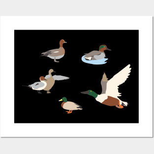 Cute ducks Posters and Art